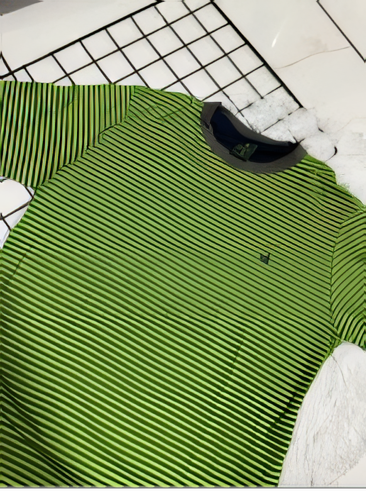 Camiseta Masculina Listrada Verde